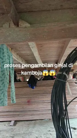 ngeriii woiiiii,😱😱😱#bagikanvideoini#ataubuta#prosespengambilanginjaldikamboja#tolongbagikanvideo ini#999999temankalian