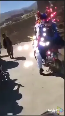 تاجیک پشتون ازبیک ترکمن هزاره جانم هستین🖤❤💚