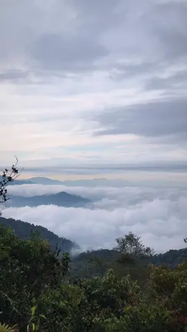 Gunung bunga buah🫶 #awankarpet #Hiking #gunungbungabuah 