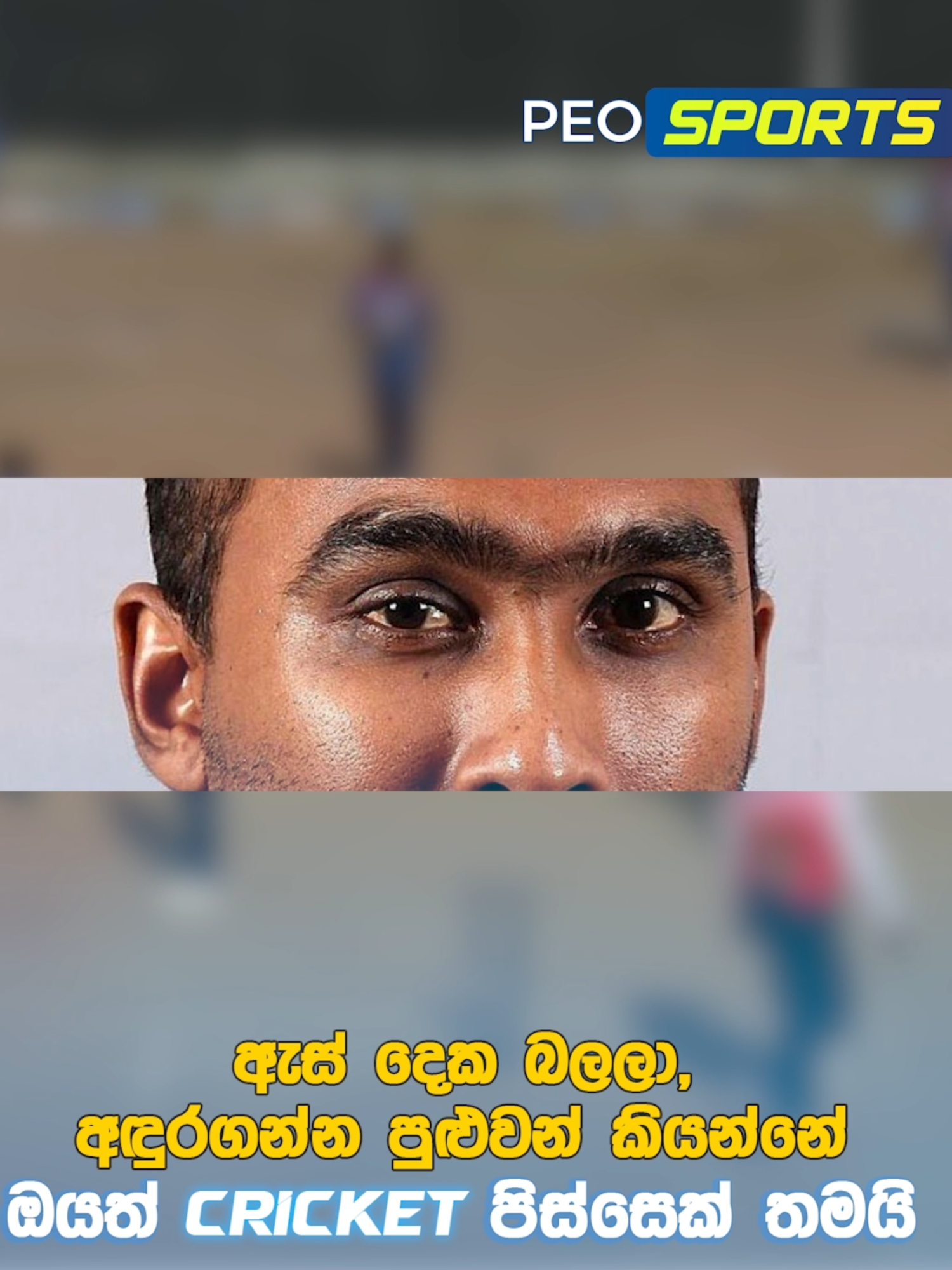 ඇස් දෙක බලලා, අඳුරගන්න පුළුවන් කියන්නේ ඔයත් cricket පිස්සෙක් තමයි.. #peosports #peotv #danushkasampath🏏❤️ #softball #ds27 #aravindadesilva #srilanka #cricket #DS27