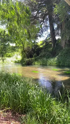 ✨🌿 #naturalsprings #aotearoa 