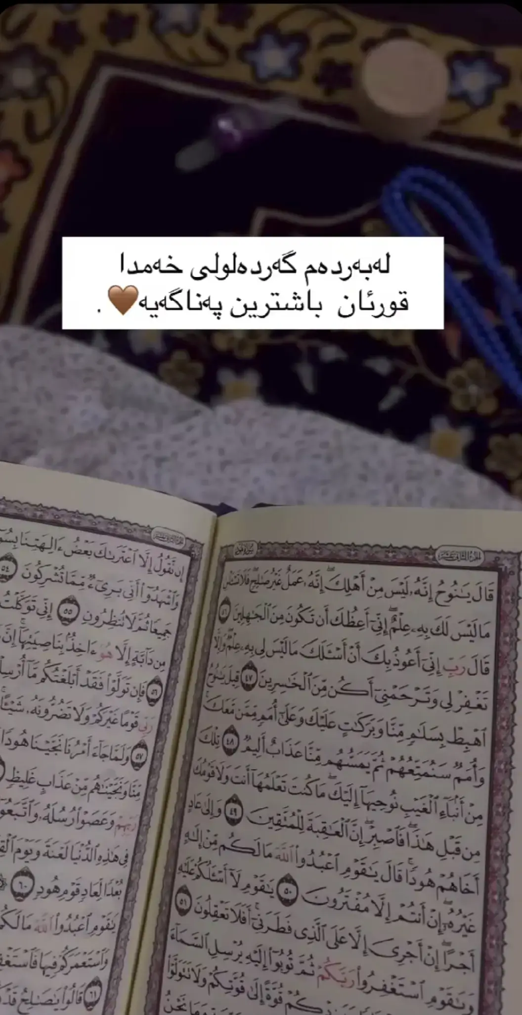 #سپاسبۆخوایپەروەردگار #اللهم_صل_وسلم_على_نبينا_محمد #قورئان_ئارامی_دڵان🕋📿خودایە_لێمان_خۆشبە #سبحان_الله_وبحمده_سبحان_الله_العظيم #foryou 