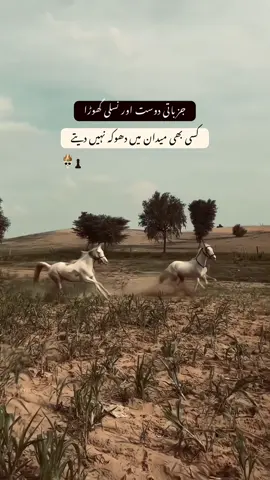 Agreee?🔥🥷🏻#fyp #منکر_اور_منافق_پوسٹ_سے_دور_رہیں🔥 #foryoupage #viral 