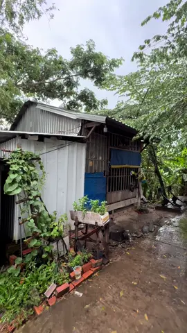 Tại nhà Chú Ba Minh và Cô Giao lúc này, cuộc sống bình yên không còn ai đến