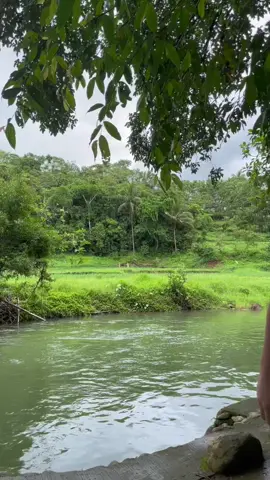 🍃#nature #laguna #trending 