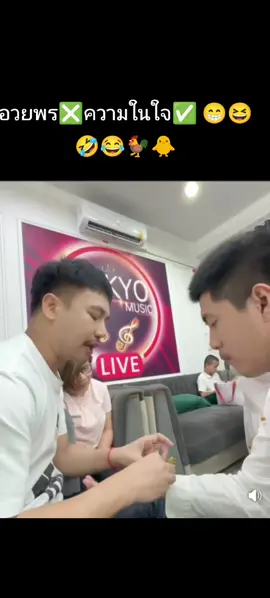 #ผู้ใหญ่บ้านฟินแลนด์ #ค่ายเพลงโตเกียวมิวสิค #ด้อมคอกไก่ #บอสโน๊ตอีสานนครศิลป์ #เบนซ์เมืองเสลฯ เสล