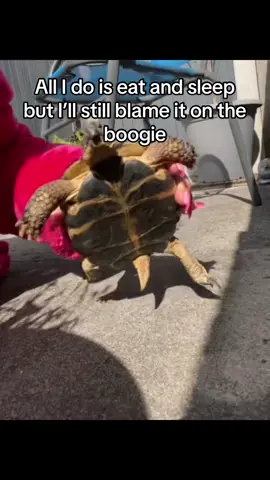 #onthisday 