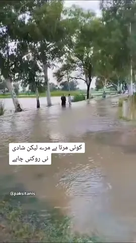 شادی لازمی ہے 😂 #wedding #flood #viralvideo #pakistani #punjab 