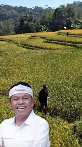 #salamsejahtera #kangdedimulyadi #dedymulyadi #bapakaing #kdm 