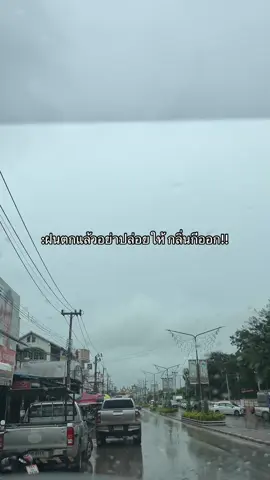 #วูม่าบาลานซ์ #วูม่าบาลานซ์โพรไบโอติก 