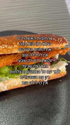 הדלפנו את הגרסה האמיתית 😂 @אודיה אזולאי 