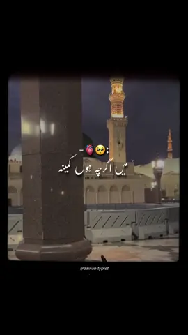 Tera hu shah e Madina 🥹 #allahhuakbar #foryoupage #allahuakbar #foryou #allah #rasoolallah #viral #viralvidoes #zainab 