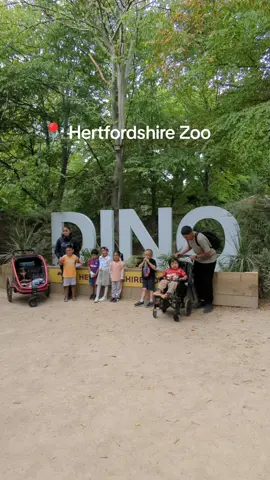 Hertfordshire Zoo previously known as Paradise wildlife Park! Great day out with our SEND family and extremely accessible. ps wait till the end to see how long a bears tongue is 😂 #fyp #zoo #dinosaur #accessible #wheelchair