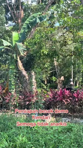 Lagu delima berkumandang #Demo