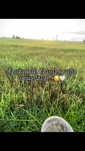 ដឹងនៅ?😒 #fyp #foryou 