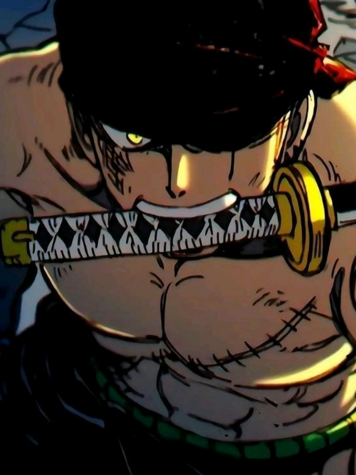 luffy:tangan kanan gw tuh😎 #luffy #zoro #onepiece #kaido #onepieceedit 