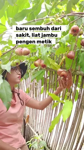 Nikmat yang paling nikmat adalah nikmat sehat #termangumangu 