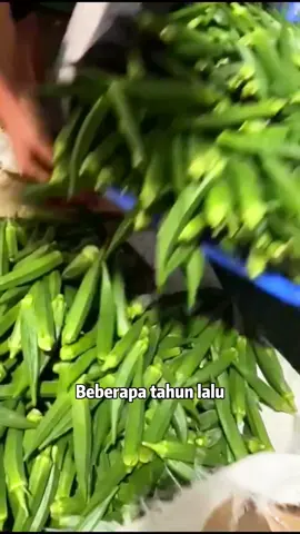 Okra Renyah #keripik #discount #camilansehat #okra #renyah 