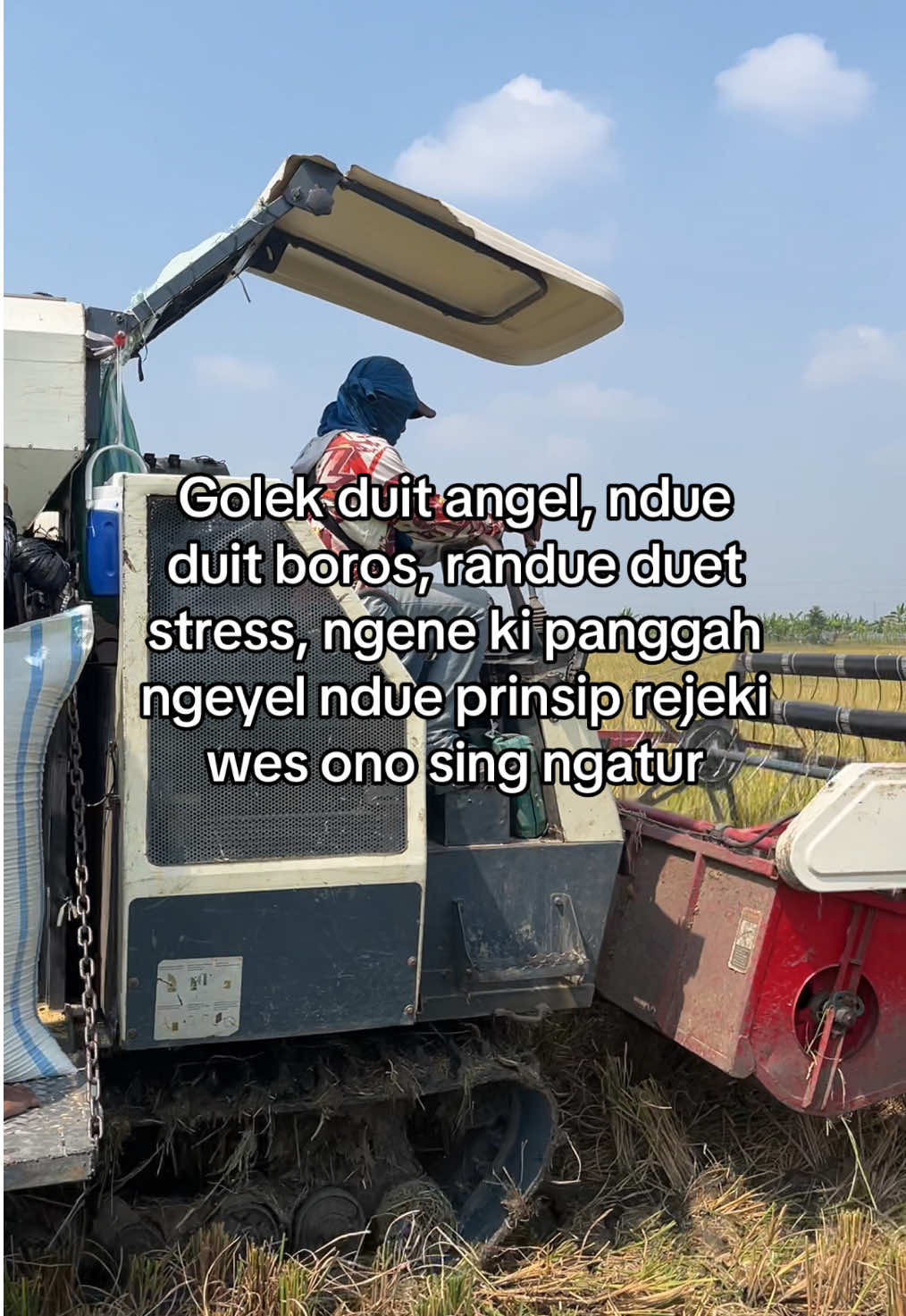 Ntek golek nehh🤣