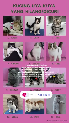 Kasih sayang tidak akan bisa tergantikan . Siapapun yg ambil kucingnya tolong punya hati nurani yaa😢 Mereka gak salah apa2 . Gak kebayang setakut apa mereka sama orang baru & di tempat yg tidak baik😢 tolong ya temen temen yg baik hati huhu cukup harta bendanya aja kalian ambil 🙏🏻 #demo #kucinguyakuya #safecat 