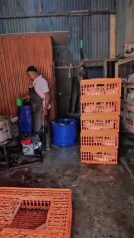 Kerja gak perlu gengsi,yang penting bergaji#pnekchicken #ayampotong #telurayam #kotabandaaceh #acehbesar @P ° NEk CHIKEN ° CADEK @P ' NEK'  CHICKEN °° LABUY @Paknek Chicken  Kajhu @P'nek Chicken Lampaseh 