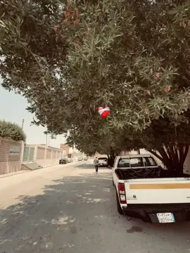😅💔