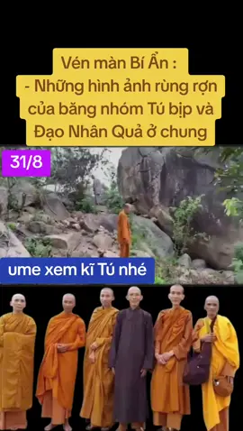 Tú bịp và đạo nhân quả ở chung || #suminhtue #businessesnews #xuhuong #tiktokviral #xuhuongtiktok 