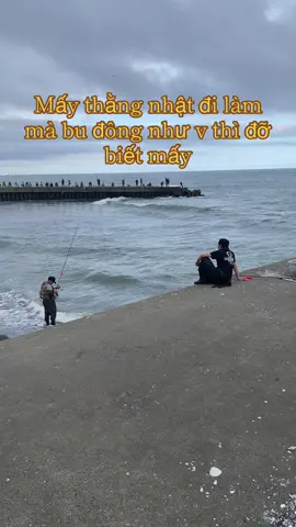 Đi làm mà bu đông như này cũng đỡ#72vungtau #nhatban #laodongnhatban #ngươiviettainhatban #câucá 