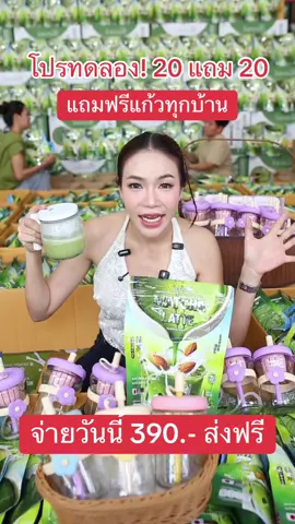 #มัทฉะลาเต้แจ่มใส #JamsaiMatchaLatte #มัทฉะลาเต้ #มัทฉะเกรดพรีเมี่ยม #JamsaiOfficial 