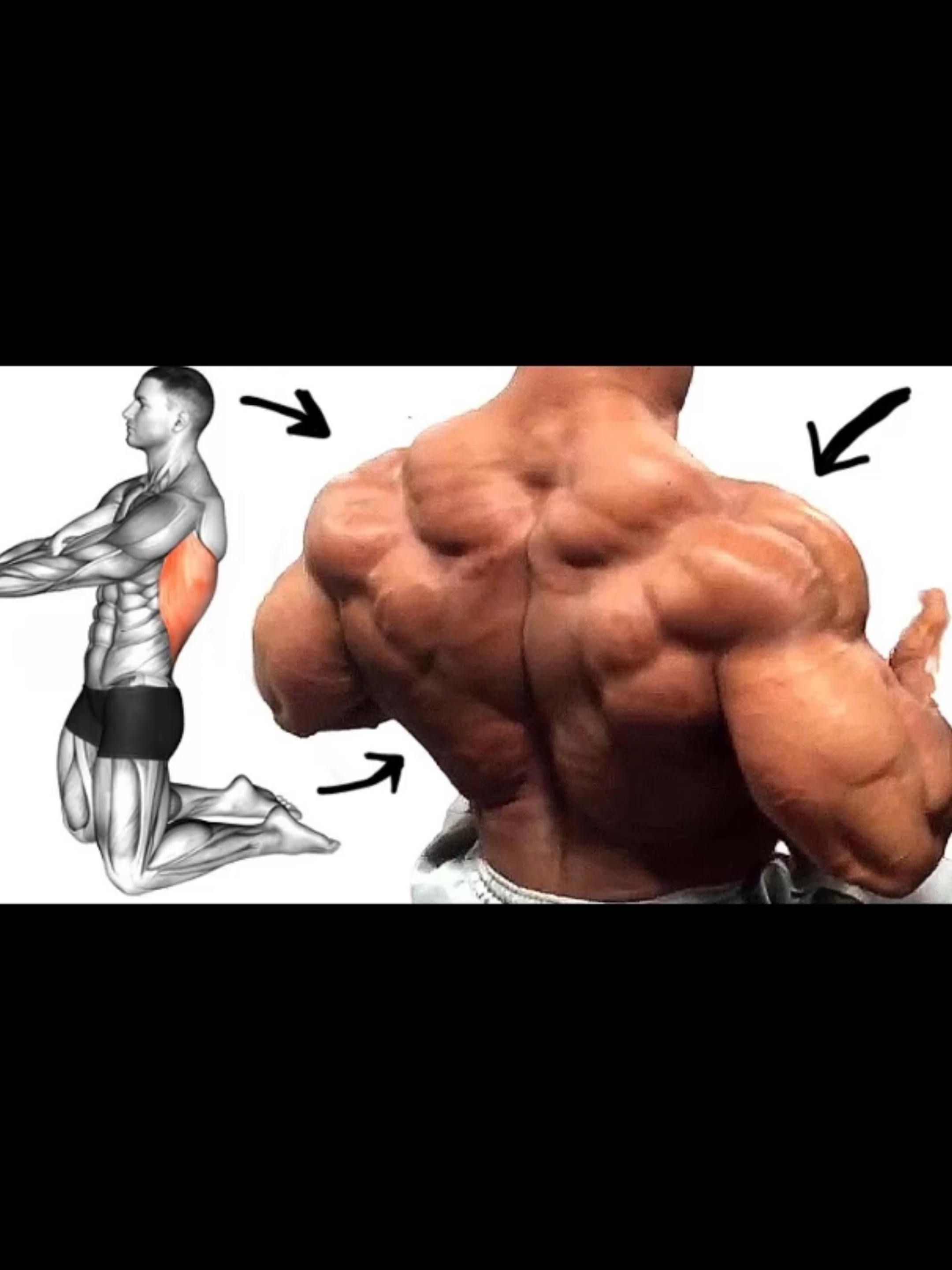 Exercises to Grow Bigger Back Fast. #exercise #Fitness #gym #GymTok #workout #muscle #musculation #homeworkout #workoutroutine #Back #Backworkout