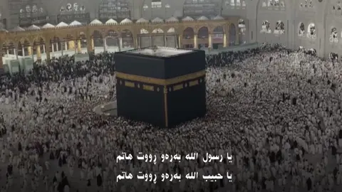 یا رسول اللە بەرەو ڕووت هاتم🖤🥺#run4ky #makkahmadinah🕋 #الله #explore 