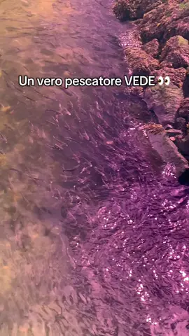 Provali e capirai perché i PRO non pescano come te 🎣  #fishing #fisherman #fish #uv400 #fishinggear 