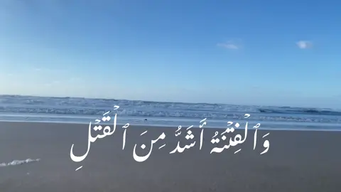 الشيخ السيد سعيد سورة البقره . #القران_الكريم #قران #quran #السيد_سعيد #الشيخ_السيد_السعيد