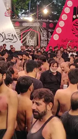 زوار مرکزی ماتمی دستہ راولپنڈی   سالار ملک اسد عباس  5 ربیع الاول 2025 بمقام امامیہ مسجد واہ کینٹ