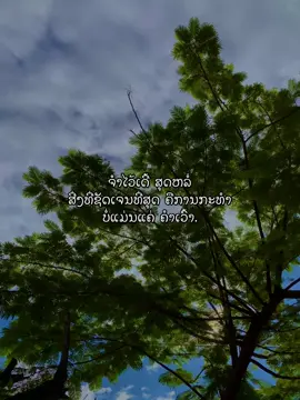 ສ່ວນ 7 #1 #เทรนด์วันนี้tiktok #ดันขึ้นฟีดที #ยืมลงสตอรี่ได้ #สตอรี่ความรู้สึก #เธรดแทนความรู้สึก #ฟีดดดシ 