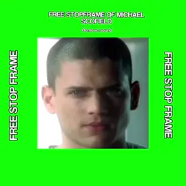Another stopframe requested by all of you//Michael Scofield stopframe. #fyp #stopframe #MichaelScofield 