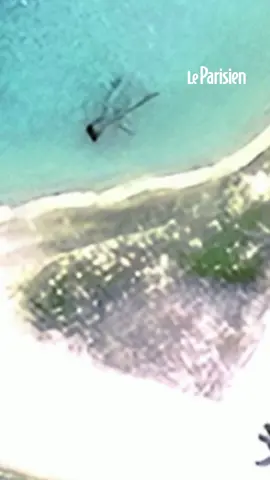 En 1937, Amelia Earhart disparaît en tentant de faire le tour du monde à bord de son avion, le Lockheed Electra 10E. Près de 90 ans plus tard, une image satellite pourrait relancer les recherches. On y distingue une tache, dans la péninsule de l’île de Nikumaroro, en plein cœur du Pacifique. Appelé “Taraia Object”, cet élément ressemble étrangement à l’avion disparu.