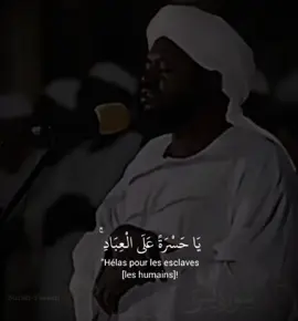 استمع للقرآن ثواني🤍🌸 | يَا حَسْرَةً عَلَى الْعِبَادِ    #شيخ_نورين_محمد_صديق #fyp  #تلاوة_خاشعة #قران #quran 
