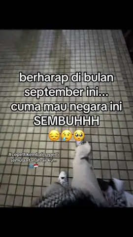 🥹🥹#katakata #indonesia🇮🇩 #september #lewatberandafyp #fypシ゚viral 