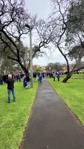 Proud Aussies Adelaide#marchforaustraliaadelaide #adelaide #southaustralia🇦🇺 #straya #fyp 