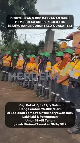 daftar sekarang juga ‼️‼️  Untuk PENDAFTARAN Silahkan klik Link Di BIO #lowonganpekerjaan #loker #merdekacoppergold #fyp #fyppppppppppppppppppppppp 