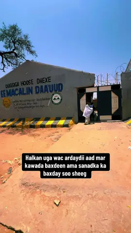 Sawir aad ka qaaday schoolkaga nala wadaag #macalindaauud #school 