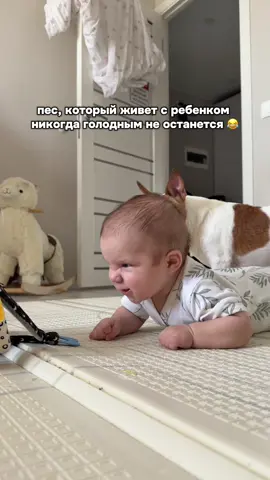 😂😂