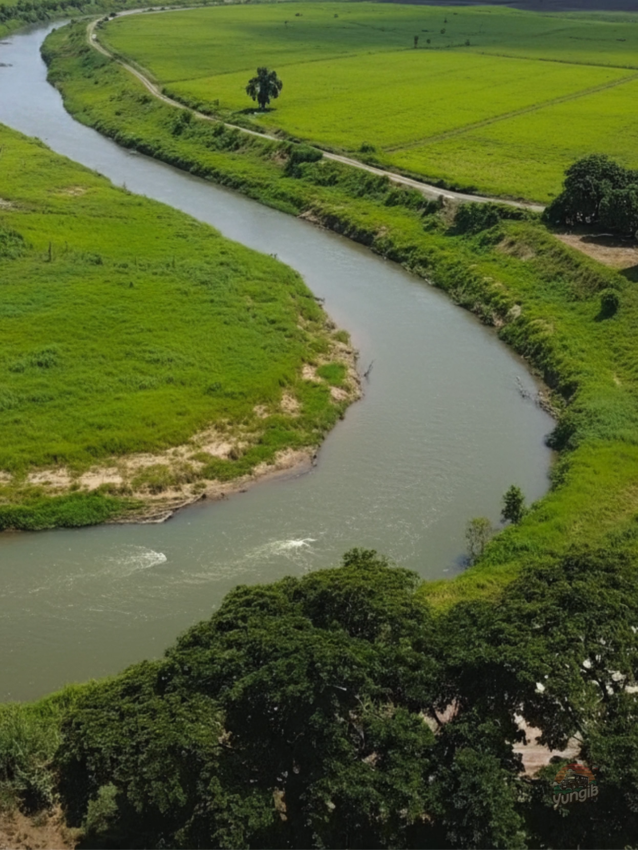 The rivers of our childhood vs 