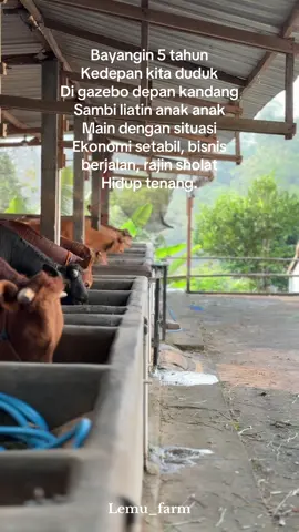 Jan damain😇 #sapi #sapiqurban #sapijumbo #peternakmuda #peternaksapiindonesia 