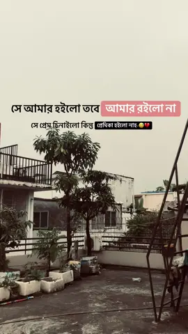 সে আমার হইলো তবে আমার রইলো না সে প্রেম চিনাইলো কিন্তু প্রেমিকা ৷ ৷ হইলো নাহ💔💔💔❤️‍🩹❤️‍🩹❤️‍🩹😅😅😅😅😅💔💔💔🥺🥺#tiktok #tiktok #বাংলাদেশি_ভাইরাল_টিকটক_ 