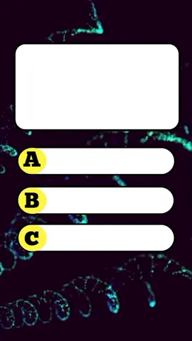 part 84: English guiz questions?#apt #fyp #quiztime #biology #quizchallenge @𝐐𝐮𝐢𝐳_𝐣𝐨𝐮𝐫𝐧𝐞𝐲 
