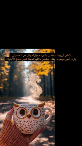 أتمنى أن يبدأ سبتمبر بشيء جميل لم يكن في الحسبان . يارب أمور ميسره ، وقلب مطمئن ، اللهم اجعله شهر تحقق الأمنيات🍁🍂 #ايلول #marwa #coffee #trending #explorer 