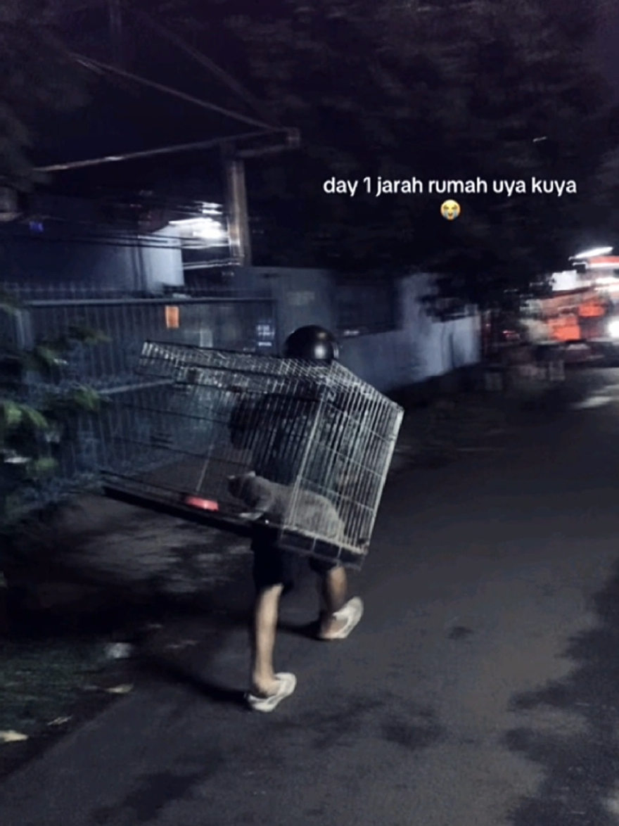 HAHAHAHHAA  #uyakuya #jarah #penjarahan #rumahuyakuya #demodpr 