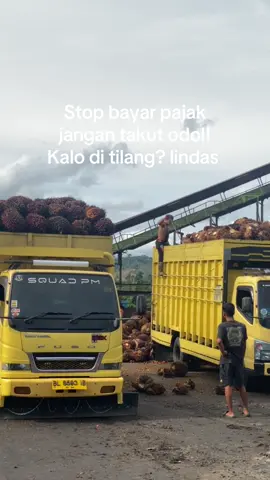 #saveojol #sawitaceh 